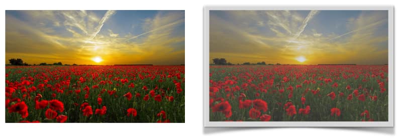 블로그-무료-이미지